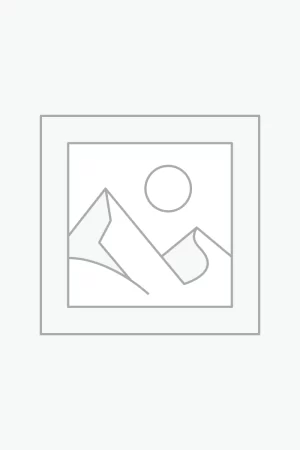 Nơi nhập dữ liệu